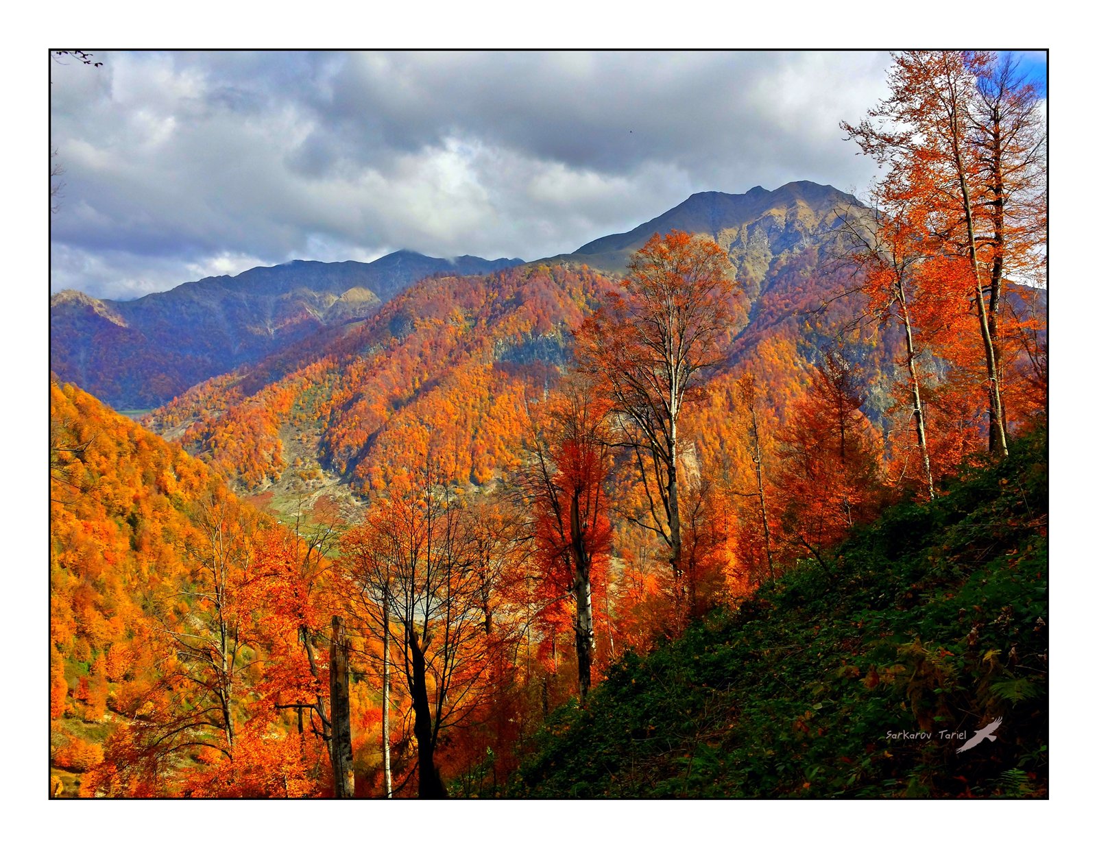 Азербайджан природа осень
